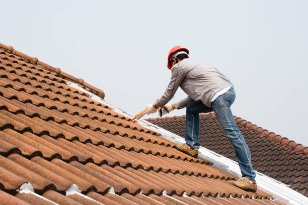 Professional Roofing service in North Zanesville, OH